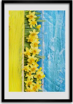 Produktbild von Bild - Bilderrahmen - 50 cm x 70 cm - MDF - Rahmen - Wandkunst Narzissen