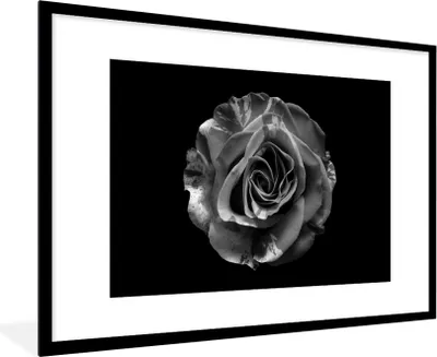 Produktbild von MuchoWow® Gerahmtes Poster Blumen - Rose - Schwarz - Weiß - Botanisch 90x60 cm - Poster mit Schwarzem Bilderrahmen Wandposter Rahmen Foto Bilder - Wanddekoration - Fotos