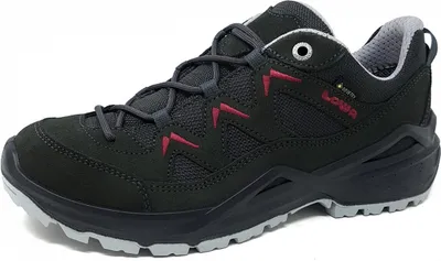 Produktbild von Lowa SIrkos EVO GTX lo Damen Wanderschuh in Grau, Größe 4.5