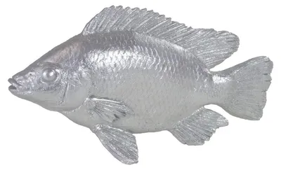 Produktbild von Fisch klein Dekofigur ca. 15 x 26 cm silber Fischfigur aus Polyresin