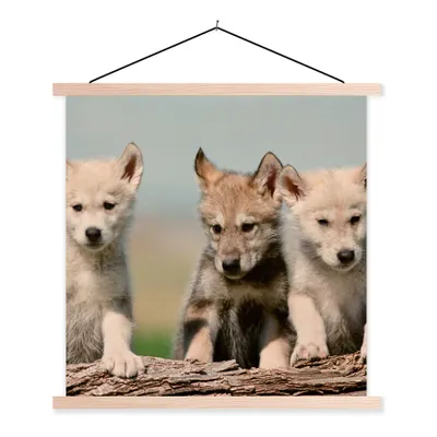 Produktbild von MuchoWow® Textilposter Wolf - Kind - Holz 40x40 cm mit holzfarbenen Rahmen - Posterleiste