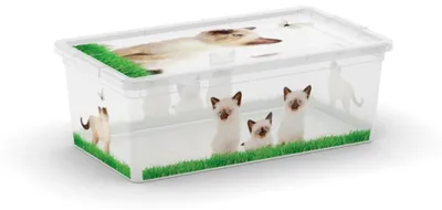 Zdjęcie produktu dla Kastka Puppy 6L Xs