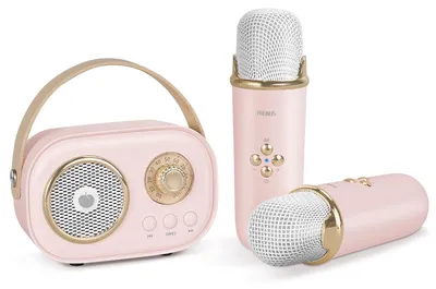 Zdjęcie produktu dla Mikrofon karaoke dla dzieci - Głośnik Bluetooth - 5 W - 2 bezprzewodowe mikrofony - Do 4 godzin