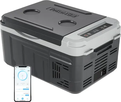 Immagine prodotto di Borsa frigo portatile - Frigorifero da auto - Ideale per campeggio e viaggi - Controllo tramite app - 10 litri - Argento