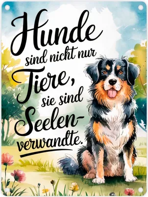 Produktbild von Hunde sind Seelenverwandte Metallschild in 15x20 cm