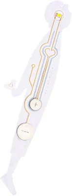 Productafbeelding van Boeklamp LED - Leeslamp Magnetisch - Lezen in Bed - Oogvriendelijk Warm Licht - 17 cm - Niet gespecificeerd