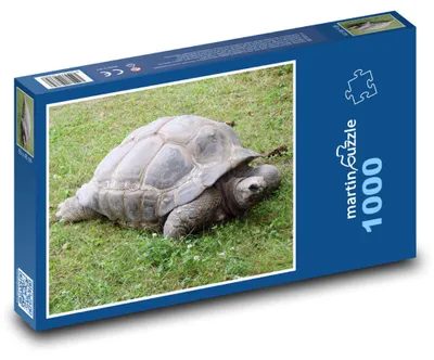 Obrázok produktu pre Puzzle 1000 Korytnačka na Zelenej Lúke - martinpuzzle