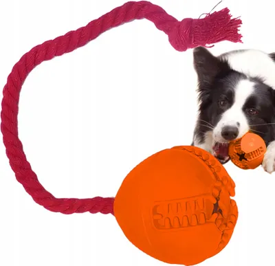 Obrázok produktu pre PETSTORY hračka pre psov vajíčko s lanom na pamlsky