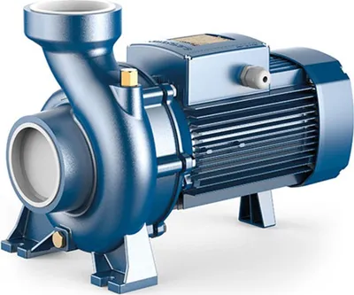Image de Pompe électrique de surface centrifuge triphasée à haut débit Pedrollo HF 4