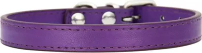 Produktbild von Hundehalsband NERO lila Größe S, 28-34 cm Länge, 1,5 cm Breite