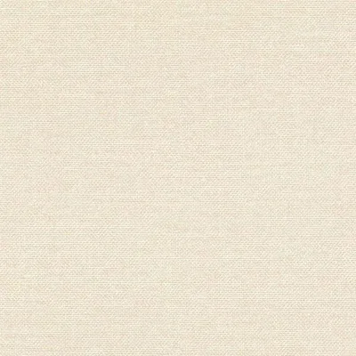 Produktbild von Rasch Vliestapete Color Your Life 312126 Uni Einfarbig Tapete 10.05 x 0.53 m Beige Wohnen Schlafen Küche Flur Eingangsbereich