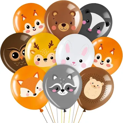 Image de Animaux en ballons - Lot de 20