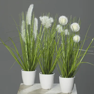 Produktbild von 3er Set künstliche Gräser im Topf H. 36cm D. 7cm grün creme DPI Kunstblumen