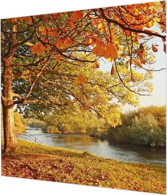 Produktbild von Wandtapete - Dekorative Tapete für Wohnzimmer  - Tapetenfolie für Wanddekoration - 250x250 cm - Küstenherbst