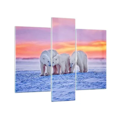 Produktbild von Bilder auf glas - Bären Winter Schnee Familie - 95x80cm - Glasbilder - Wandbilder - Kunstdruck - zum Aufhängen bereit - Wanddekoration aus Glas - Glas Bilder - Wandbild auf Glas - GCB95x80-2836