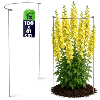 Zdjęcie produktu dla KADAX Podpora Pergola Roślin Ogrodowa Pierścieniowa Kwiat Hortensji Piwoni 100cm