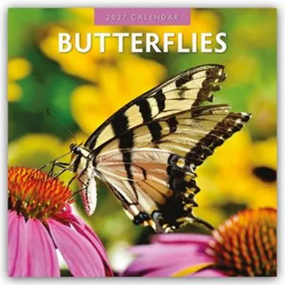 Image de Papillons - Calendrier de 16 mois, de 2027