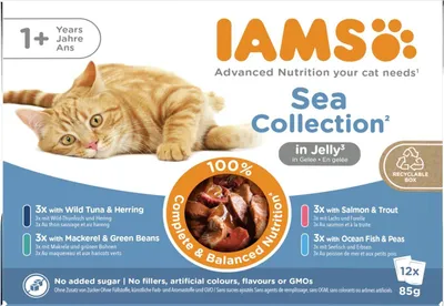 Productafbeelding van Iams Delights Natvoer voor Katten, Selectie in Gelei, 12 x 85 gram
