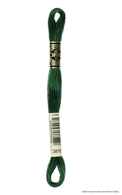 Immagine prodotto di Filato da ricamo DMC Mouline Special 117MC -3818, 6 fili, 8 m