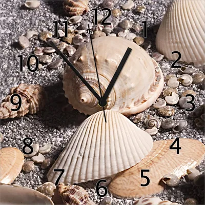 Produktbild von Wallario Design Wanduhr Muscheln am Strand aus Echtglas, Größe 30 x 30 cm