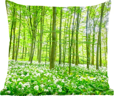 Produktbild von MuchoWow® Zierkissen Sofakissen Wohnzimmer Dekokissen 40x40 cm Wald - Bäume - Grün - Foto Kissen - Schlafzimmer Dekoration