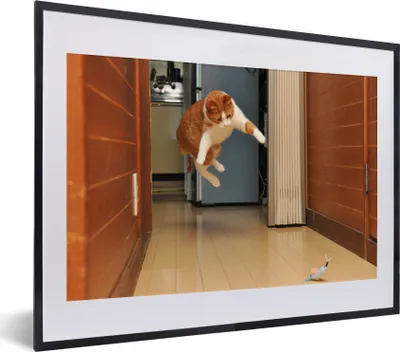 Produktbild von MuchoWow® MuchoWow® Gerahmtes Poster Katze - Springen - Spielzeug 40x30 cm - Poster mit zchwarzem Bilderrahmen - Bilderrahmen - Poster im Rahmen