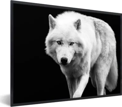Produktbild von MuchoWow® Gerahmtes Poster Wolf - Tier - Schwarz - Weiß 40x30 cm - Poster mit Schwarzem Bilderrahmen Wandposter Rahmen Foto Bilder - Kunstposter - Wanddekorationen
