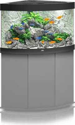 Produktbild von Juwel Trigon 190 LED schwarz - Aquarium Juwel