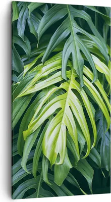 Produktbild von Bild auf Leinwand - Leinwandbild - Blume Natur - 45x80cm - Wand Bild - Wanddeko - Wandbilder - Leinwanddruck - Bilder - Kunstdruck - Wanddekoration - Leinwand bilder - Wandkunst - PA45x80-3951