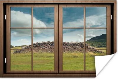 Produktbild von MuchoWow® Poster Durchsichtig - Gras - Holz 90x60 cm - Schlafzimmer