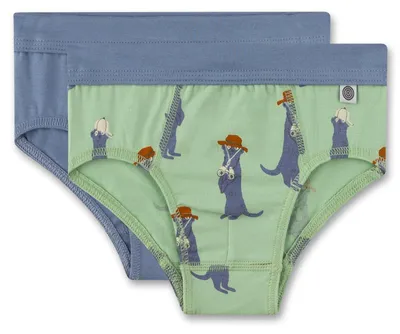 Productafbeelding van Boxershorts voor jongens (2-pack), groen en blauw