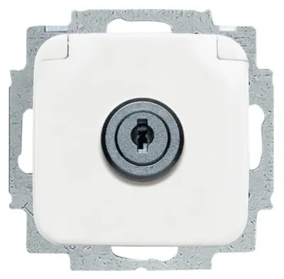 Produktbild von BUSCH JAEGER 2CKA002018A1289 - Weiß - 2061 U 2661 U 1565-11 1565-12 1565-13 - 1 Stück(e)
