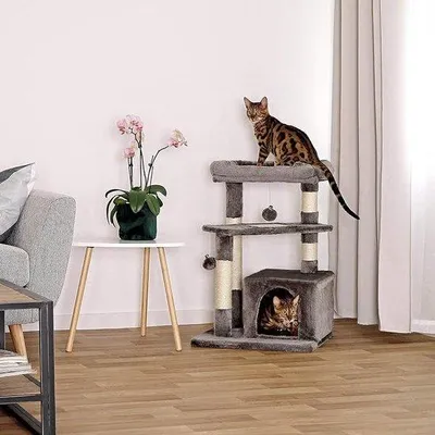 Produktbild von Famanu Katzenbaum - Mit Kratzmöglichkeiten und gemütlichen Aussichtsplattformen, 50 x 50 x 75 cm