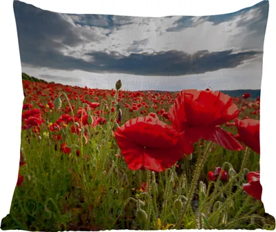 Produktbild von MuchoWow® Outdoor Kissen - Mohnblumen vor einem dramatischen, stürmischen Himmel - 45x45 cm - Wetterfest - Lounge Kissen - Fotokissen - Dekoratives Kissen