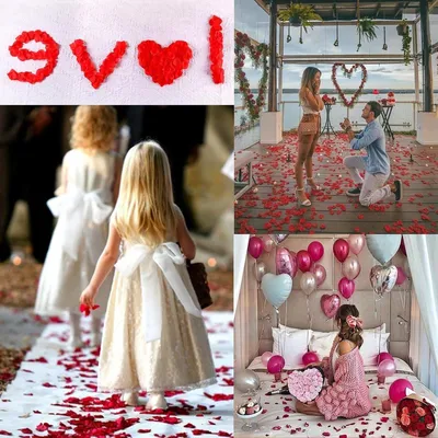 2000 Stück Rosenblätter, Künstliche Rote Blütenblätter für Romantische Abende, Hochzeiten und Feste, Dekorationszubehör