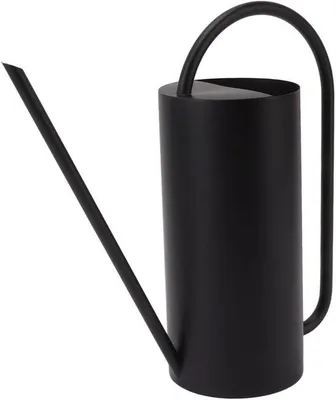 Productafbeelding van Unyqoos® gieter van roestvrij staal 304 – 1,5 liter, met een 38 cm lange tuit voor nauwkeurige bewatering binnen en buiten, en een stijlvol design