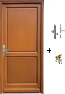 Image de Porte d'entree Bois Pleine, Eyden (Edda), H215 x L90 p, droite + Poignee Et Barillet (ref : N158RPL -IN158RCI)