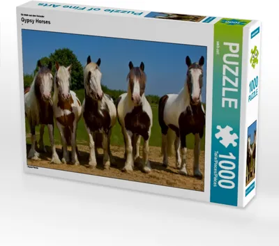 Produktbild von Calvendo Ein Motiv aus dem Kalender Gypsy Horses 1000 Teile Puzzle quer 640x480mm, CALVENDO; 7307367