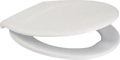 A white toilet seat is shown from a slightly elevated side angle against a white background.
