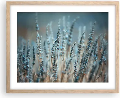 Produktbild von Gerahmtes Poster - Rahmen in heller Eiche - Lavendel Klinge Blume - 50x40 cm - Wand Bild - Wanddeko - Wandbilder - Kunstposter - Wandposter - Bilderrahmen - Bilder - Kunstdruck - P2NAA50x40-4986