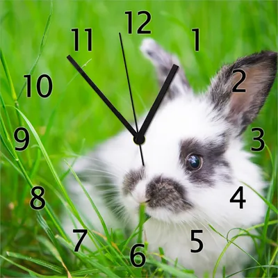 Produktbild von Wallario Design Wanduhr Süßer Hase im grünen Gras aus Echtglas, Größe 30 x 30 cm