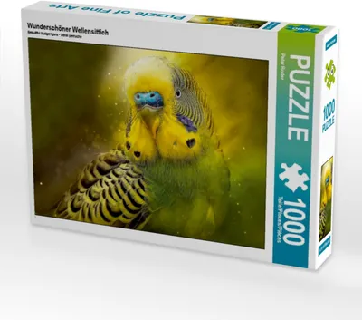 Produktbild von CALVENDO Puzzle Wunderschöner Wellensittich | 1000 Teile Lege-Größe 64x48cm Foto-Puzzle für glückliche Stunden