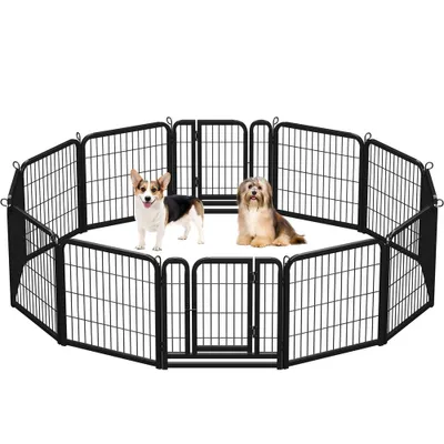 Two dogs are inside a black metal playpen.