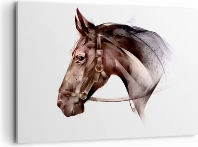 Produktbild von Bild auf Leinwand - Leinwandbild - Pferd Abstraktion - 100x70cm - Wand Bild - Wanddeko - Wandbilder - Leinwanddruck - Bilder - Kunstdruck - Wanddekoration - Leinwand bilder - Wandkunst - AA100x70-4106