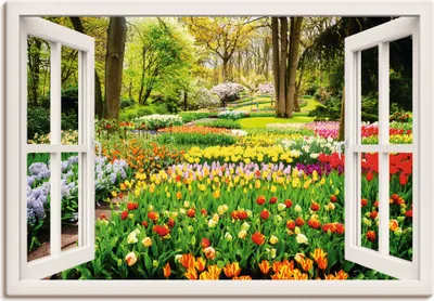 Produktbild von ARTland Leinwandbild Fensterblick Tulpen Garten Frühling Größe: 100x70 cm