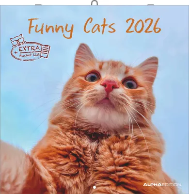 A close-up selfie of an orange cat against a light blue sky background, with text overlay indicating it's a 'Funny Cats 2026' calendar.