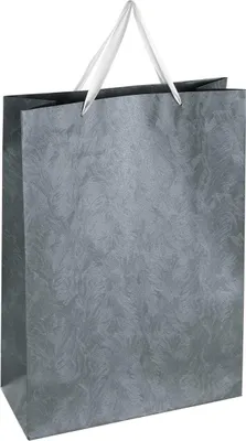 Produktbild von Eglo Geschenktasche 33 x 46 cm