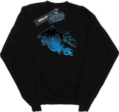 Produktbild von Harry Potter - Sweatshirt für Herren BI27645 (XL) (Schwarz)