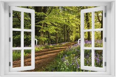 Produktbild von Wallario Wandbild mit Fenster-Illusion: Blaues Hasenglöckchen im Sommerwald, Größe: 61 x 91,5 cm, Poster mit weißem Aluminiumrahmen