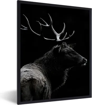 Produktbild von MuchoWow® Gerahmtes Poster Hirsch - Schwarz - Porträt - Geweih - Tiere 60x80 cm - Poster mit Schwarzem Bilderrahmen Wandposter Rahmen Foto Bilder - Premium - Wanddeko Wohnzimmer